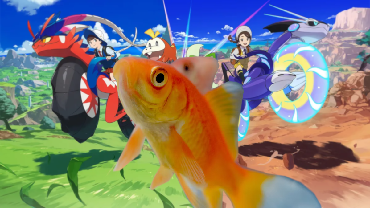 Pet fish play Pokémon and hit the Nintendo store 